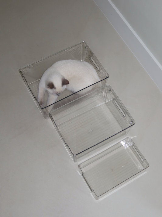 We vroegen professionele organizers naar hun favorieten — dit zijn de 8 producten waar ze bij zweren