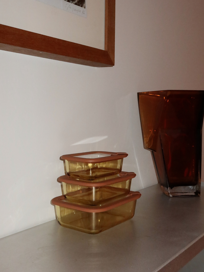 Vetto vereint Wärme und Klarheit in einem zeitlosen Design, hergestellt aus bernsteinfarbenem Glas mit passendem Glasdeckel und feinen Braun-/Rosé-Details. Drei Größen ermöglichen eine intelligente Organisation, von kleinen Portionen für Joghurt oder Snacks bis hin zu größeren für Meal Prep oder Resteverwertung. Der Deckel verfügt über ein kleines Silikonventil für einfaches Druckablassen. Ungiftig, BPA-frei, geruchs- und fleckenresistent, auslaufsicher, langlebig und wiederverwendbar — praktisch und elegan